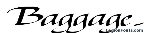 BaggageMasterText79 Regular ttext Font