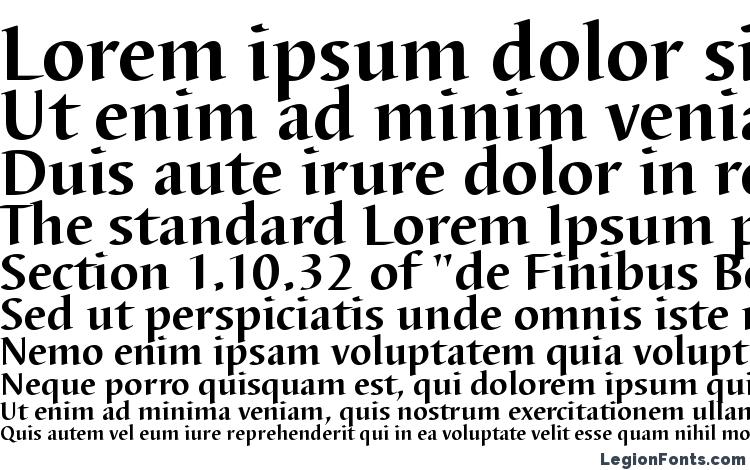 specimens BarbedorT Bold font, sample BarbedorT Bold font, an example of writing BarbedorT Bold font, review BarbedorT Bold font, preview BarbedorT Bold font, BarbedorT Bold font