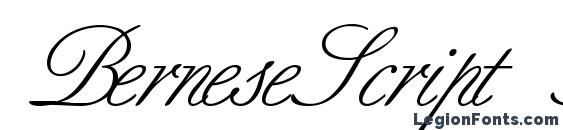 BerneseScript Regular DB Font, Wedding Fonts