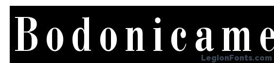 Bodonicameoctt regular Font, Serif Fonts