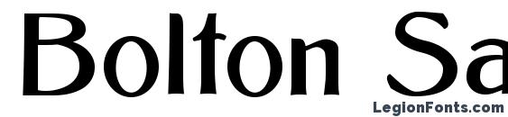 Bolton Sans Font