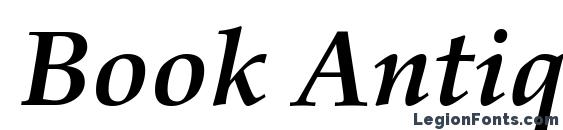 Шрифт Book Antiqua Полужирный Курсив, Каллиграфические шрифты