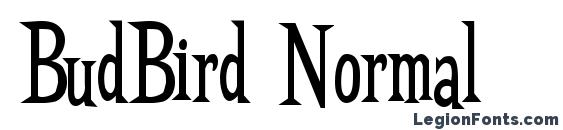 BudBird Normal font, free BudBird Normal font, preview BudBird Normal font