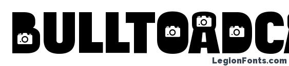 BulltoadCamera Regular Font, Icons Fonts