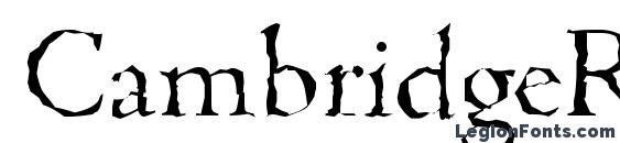 CambridgeRandom Light Regular Font