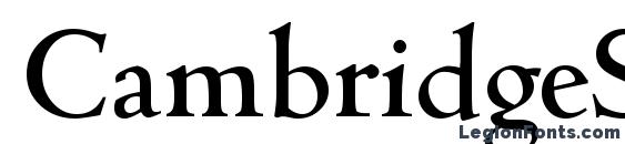 CambridgeSerial Medium Regular Font