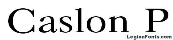 Caslon Plain.001.001 Font, Russian Fonts