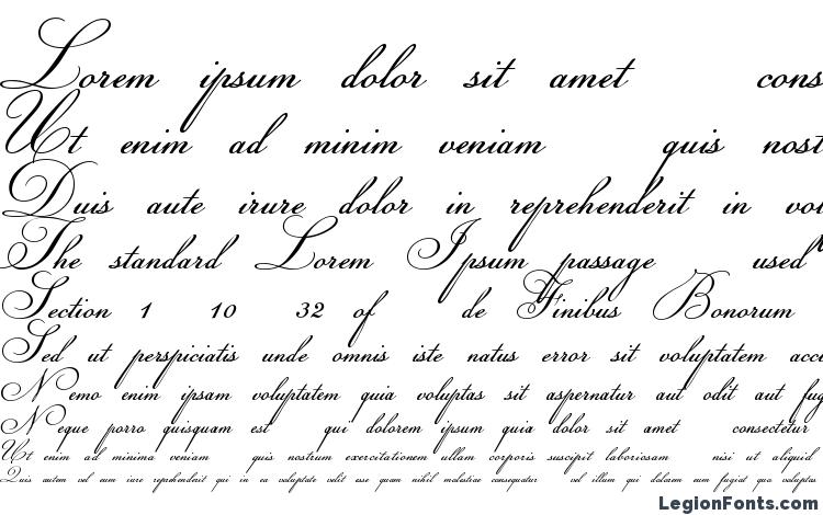 specimens Champignon font, sample Champignon font, an example of writing Champignon font, review Champignon font, preview Champignon font, Champignon font