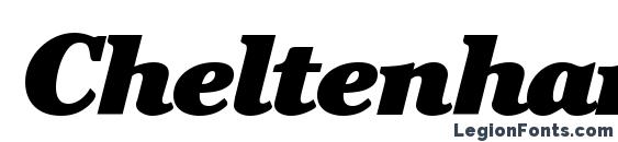 шрифт Cheltenham BlackItalic, бесплатный шрифт Cheltenham BlackItalic, предварительный просмотр шрифта Cheltenham BlackItalic