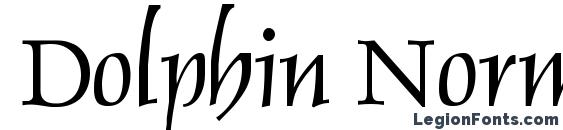 Dolphin Normal Font