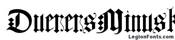 DuerersMinuskeln Font, Serif Fonts