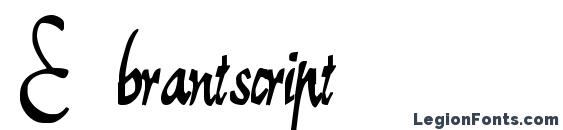 E brantscript font, free E brantscript font, preview E brantscript font