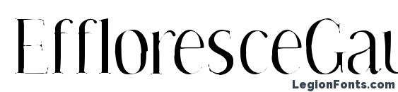 шрифт EffloresceGaunt, бесплатный шрифт EffloresceGaunt, предварительный просмотр шрифта EffloresceGaunt