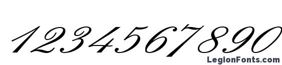 English Wd Font, Number Fonts