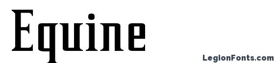 Шрифт Equine, Типографические шрифты