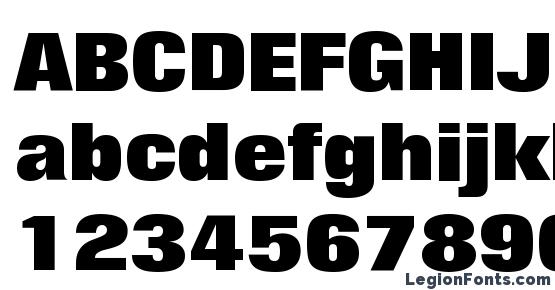 bold typeface
