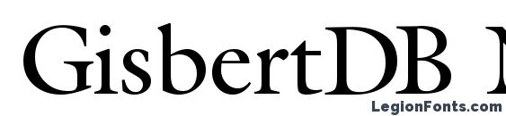 GisbertDB Normal Font, Serif Fonts