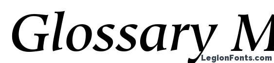 Glossary Medium SSi Medium Italic Font