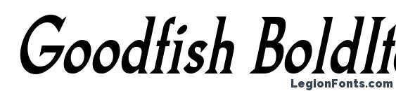 шрифт Goodfish BoldItalic, бесплатный шрифт Goodfish BoldItalic, предварительный просмотр шрифта Goodfish BoldItalic
