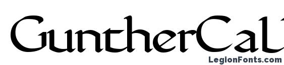 Шрифт GuntherCalligraphic Regular, Типографические шрифты