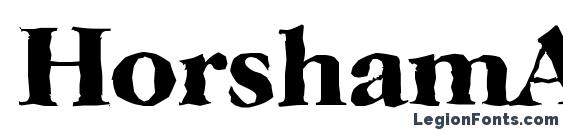 шрифт HorshamAntique Bold, бесплатный шрифт HorshamAntique Bold, предварительный просмотр шрифта HorshamAntique Bold