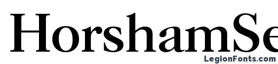 шрифт HorshamSerial Regular, бесплатный шрифт HorshamSerial Regular, предварительный просмотр шрифта HorshamSerial Regular