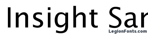 Шрифт Insight Sans SSi, Компьютерные шрифты