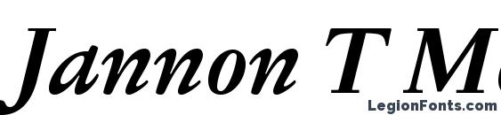 Шрифт Jannon T Moderne Pro Bold Italic