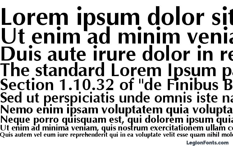 optima bold font