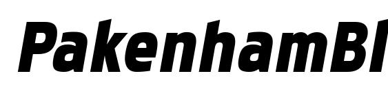 Шрифт PakenhamBl Italic, Компьютерные шрифты