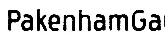 шрифт PakenhamGaunt Regular, бесплатный шрифт PakenhamGaunt Regular, предварительный просмотр шрифта PakenhamGaunt Regular