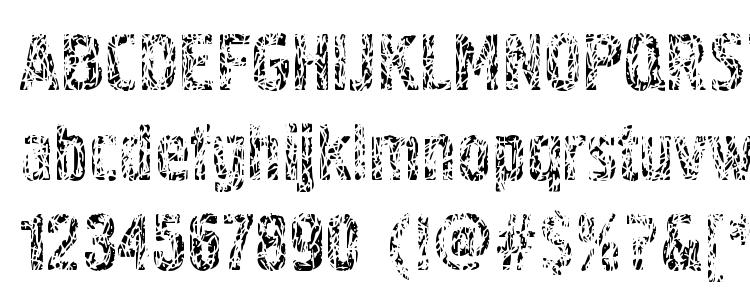 глифы шрифта PollockC4, символы шрифта PollockC4, символьная карта шрифта PollockC4, предварительный просмотр шрифта PollockC4, алфавит шрифта PollockC4, шрифт PollockC4