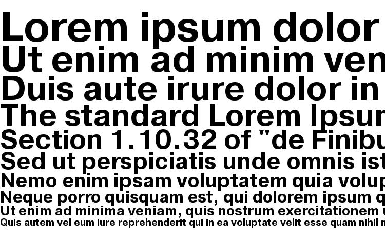 specimens PragmaticaTTT Bold font, sample PragmaticaTTT Bold font, an example of writing PragmaticaTTT Bold font, review PragmaticaTTT Bold font, preview PragmaticaTTT Bold font, PragmaticaTTT Bold font