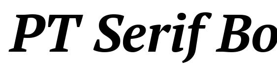 PT Serif Bold Italic Font
