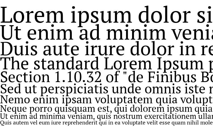 specimens PT Serif font, sample PT Serif font, an example of writing PT Serif font, review PT Serif font, preview PT Serif font, PT Serif font