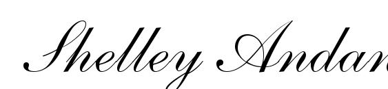 Shelley AndanteScriptA Font