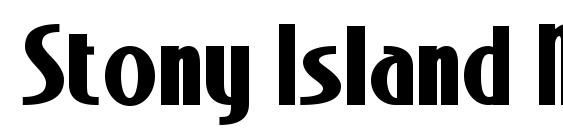 Stony Island NF Bold font, free Stony Island NF Bold font, preview Stony Island NF Bold font