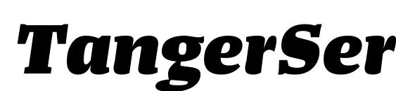 TangerSerifWide HeavyItalic font, free TangerSerifWide HeavyItalic font, preview TangerSerifWide HeavyItalic font