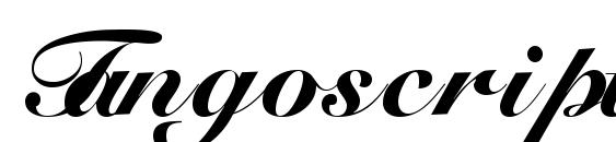 Tangoscriptblackssk font, free Tangoscriptblackssk font, preview Tangoscriptblackssk font