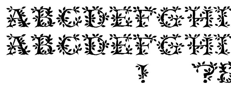 глифы шрифта TenderLeaf, символы шрифта TenderLeaf, символьная карта шрифта TenderLeaf, предварительный просмотр шрифта TenderLeaf, алфавит шрифта TenderLeaf, шрифт TenderLeaf