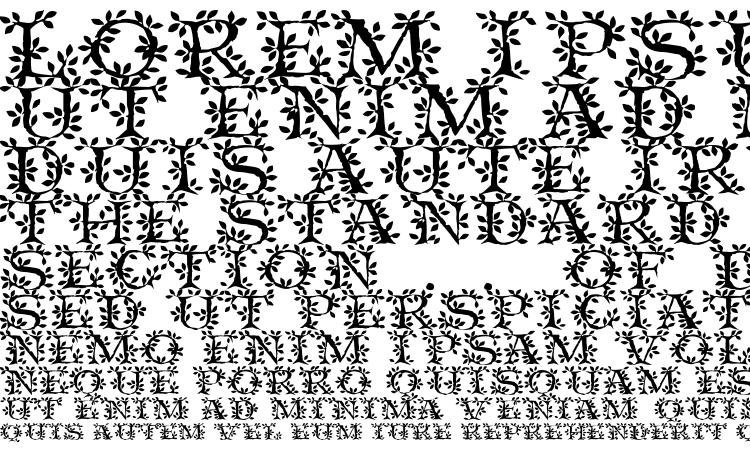 specimens TenderLeaf font, sample TenderLeaf font, an example of writing TenderLeaf font, review TenderLeaf font, preview TenderLeaf font, TenderLeaf font