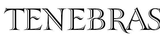 TenebraShaded font, free TenebraShaded font, preview TenebraShaded font