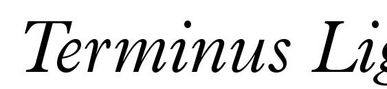 Terminus Light SSi Light Italic Font