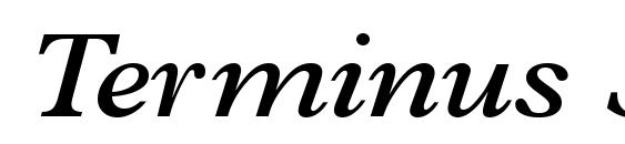 Terminus SSi Semi Bold Italic Font
