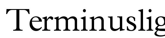 Terminuslightssk regular Font