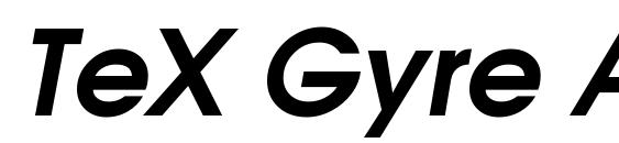 TeX Gyre Adventor Bold Italic Font