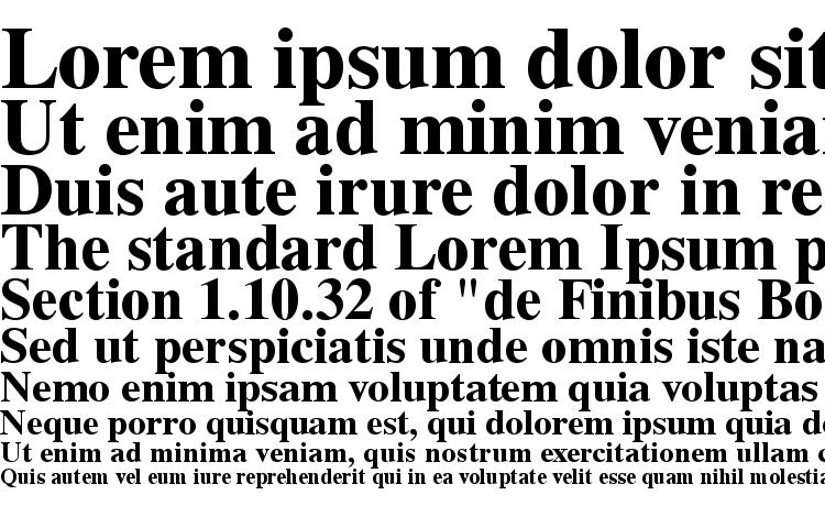 specimens Times CE Bold font, sample Times CE Bold font, an example of writing Times CE Bold font, review Times CE Bold font, preview Times CE Bold font, Times CE Bold font