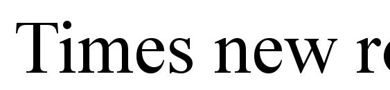 Times new roman 2 font, free Times new roman 2 font, preview Times new roman 2 font