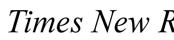 Times New Roman CE Italic Font