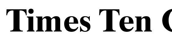 Times Ten Greek Bold Font